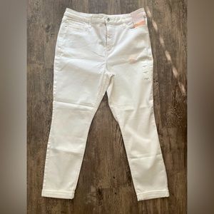 High Rise Skinny Ankle Plus Size Jeans